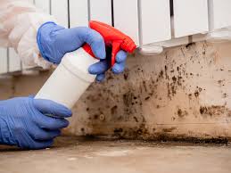 Best HVAC Mold Inspection and Cleaning  in Union City, TN